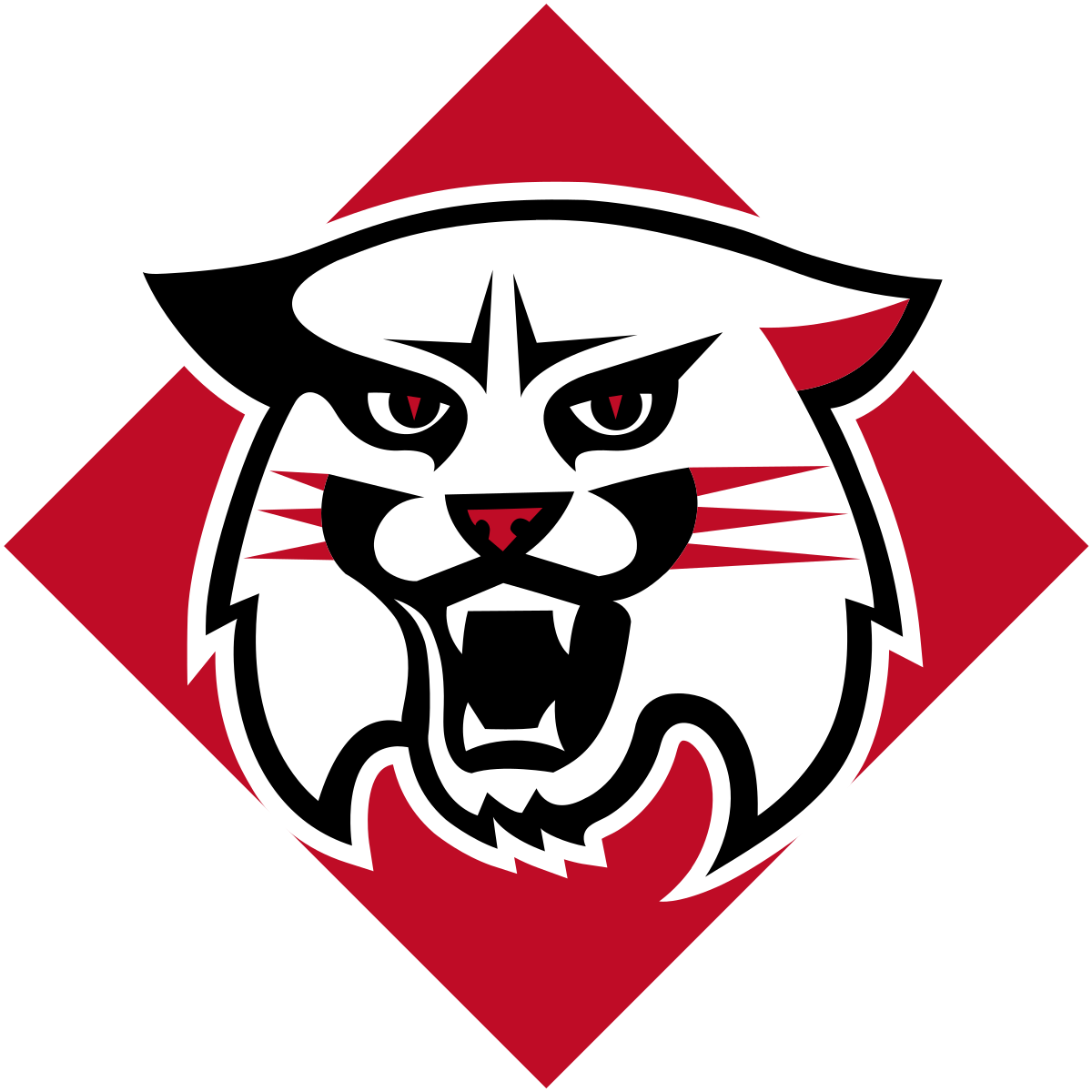 Davidson College